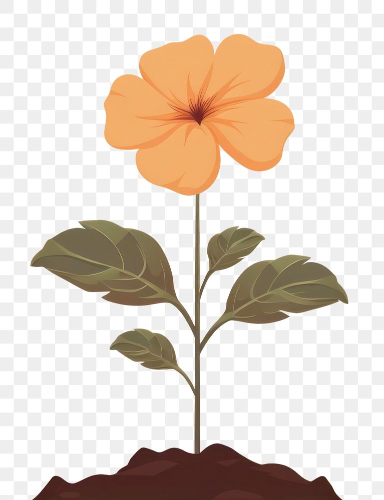 PNG Brain flower hibiscus plant. AI generated Image by rawpixel.
