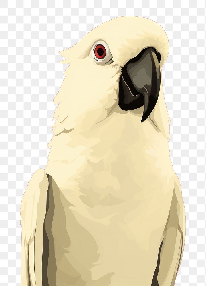 PNG Parrot cockatoo animal bird. AI generated Image by rawpixel.