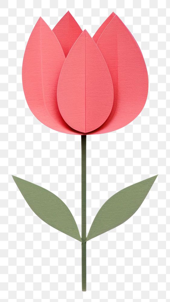 PNG Tulip flower plant paper. AI generated Image by rawpixel.