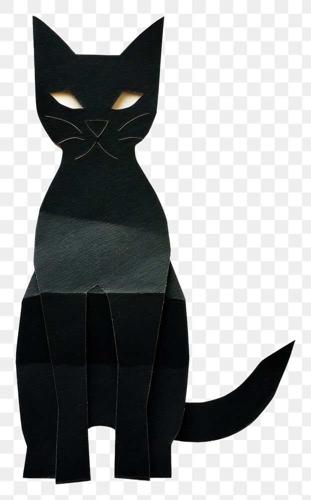 PNG Black cat mammal animal pet. 