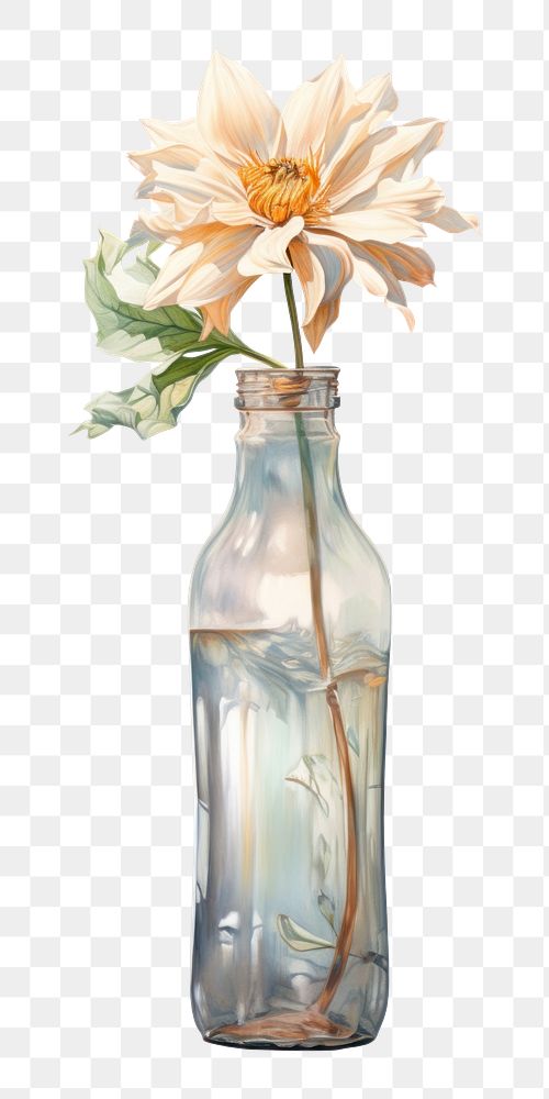 PNG Bottle flower glass plant. AI generated Image by rawpixel.