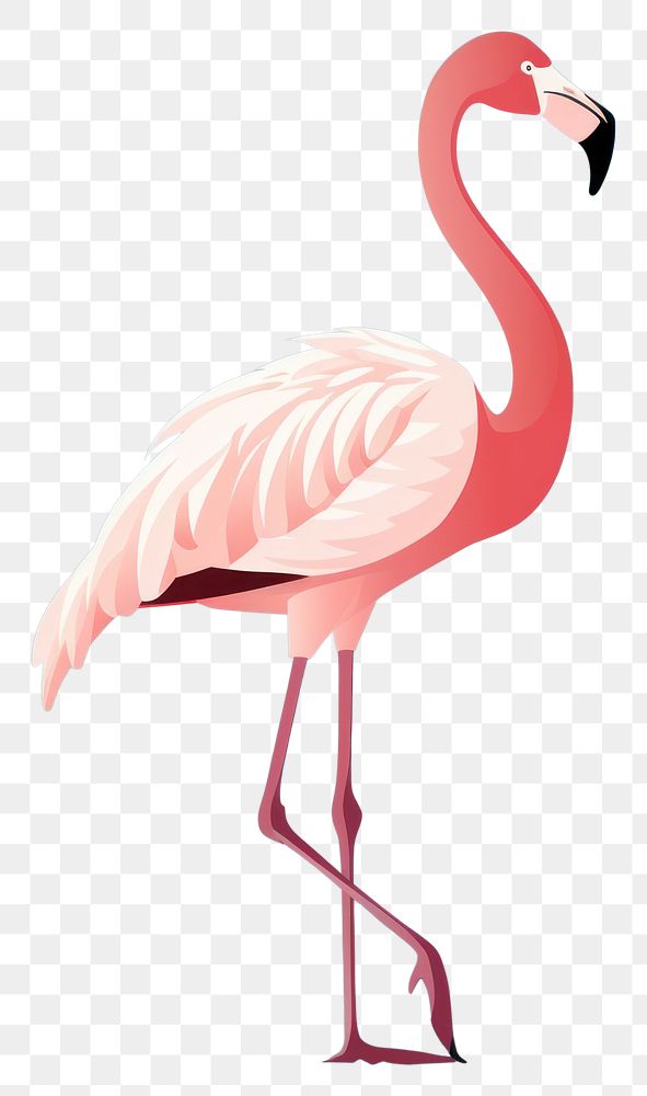 PNG Flamingo animal bird reflection. AI generated Image by rawpixel.