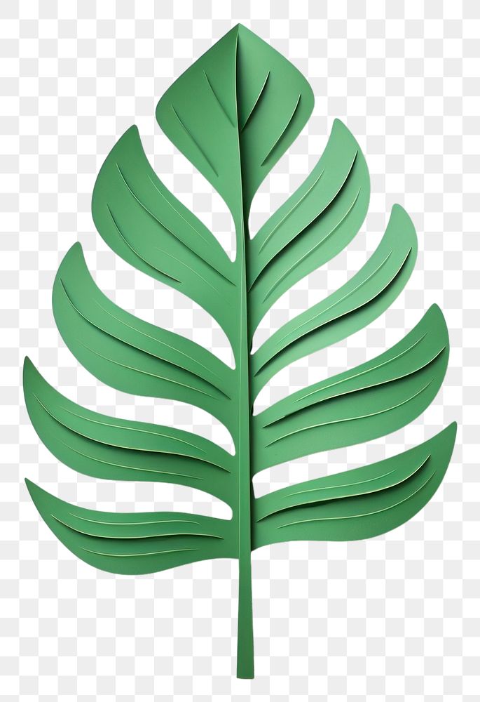 PNG Green Tropical leave plant green leaf. AI generated Image by rawpixel.