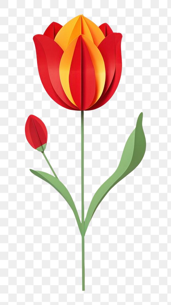 PNG Red tulip flower plant red. AI generated Image by rawpixel.