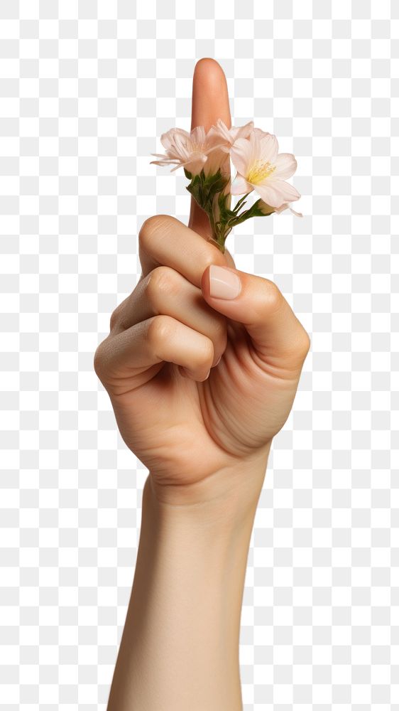 PNG Hand holding flower. AI generated Image by rawpixel.