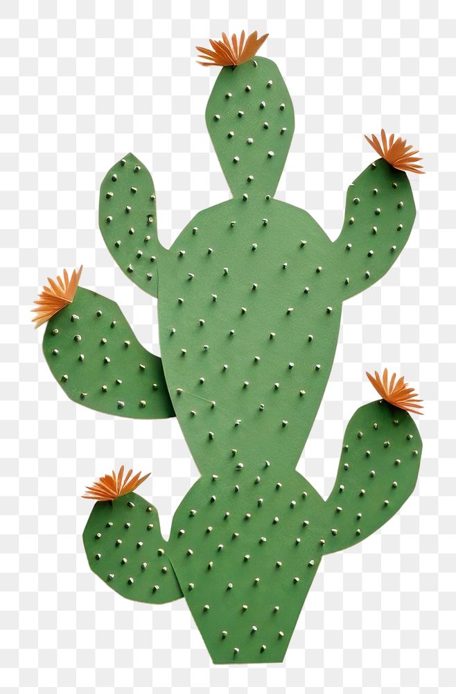PNG  Cactus plant white background representation. AI generated Image by rawpixel.