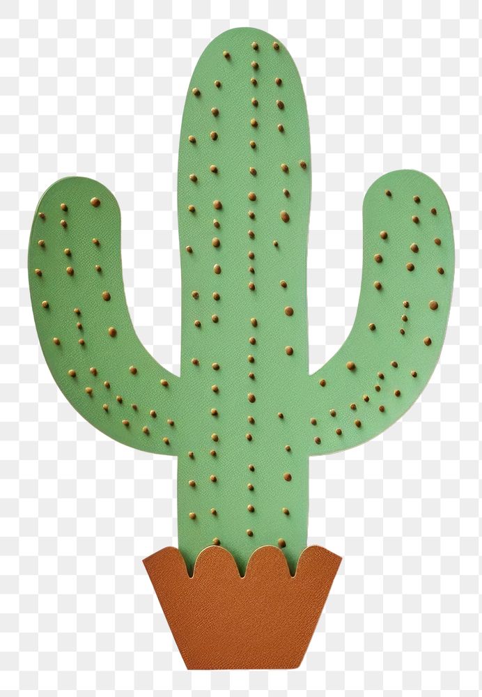 PNG Cactus plant white background representation. 