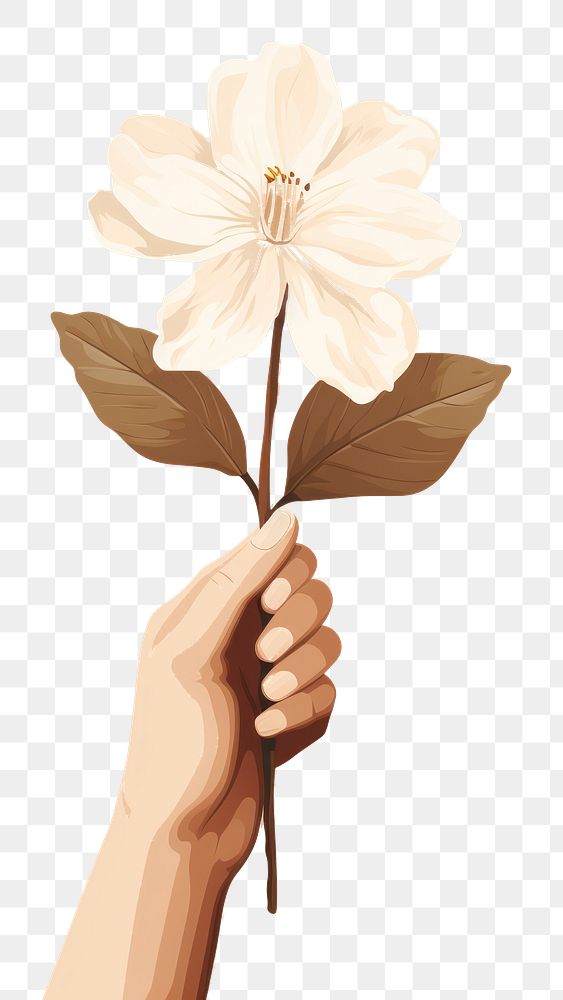 PNG Hand holding a blossom flower petal plant. AI generated Image by rawpixel.