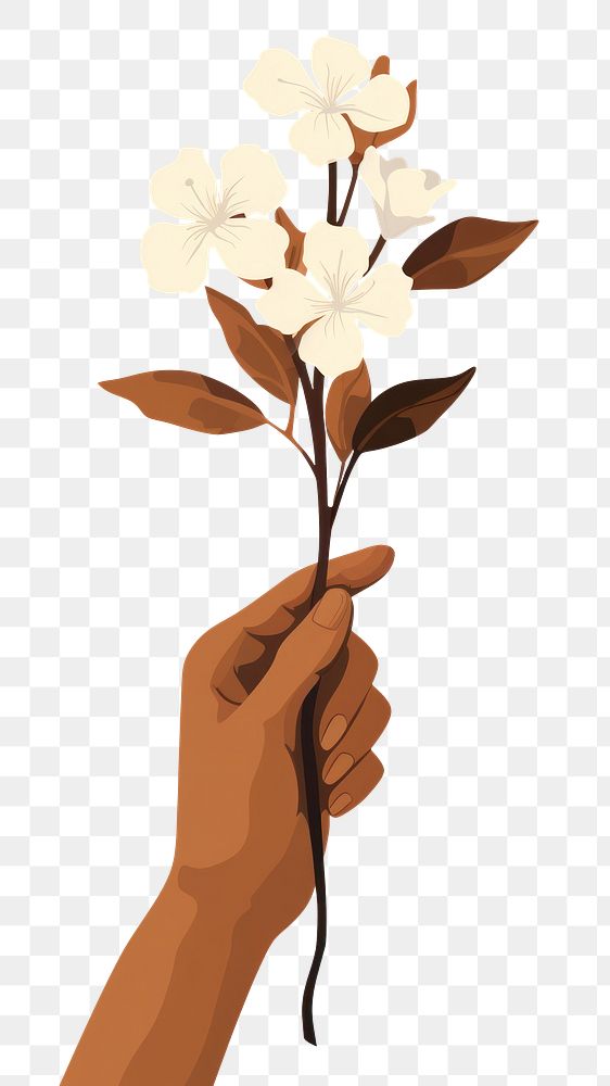 PNG Hand holding a blossom flower plant inflorescence. AI generated Image by rawpixel.