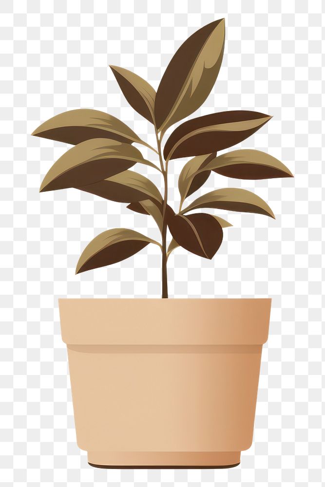 PNG Potted plant leaf houseplant terracotta. 