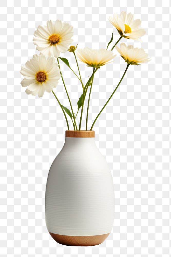 PNG Flower vase plant daisy. AI generated Image by rawpixel.