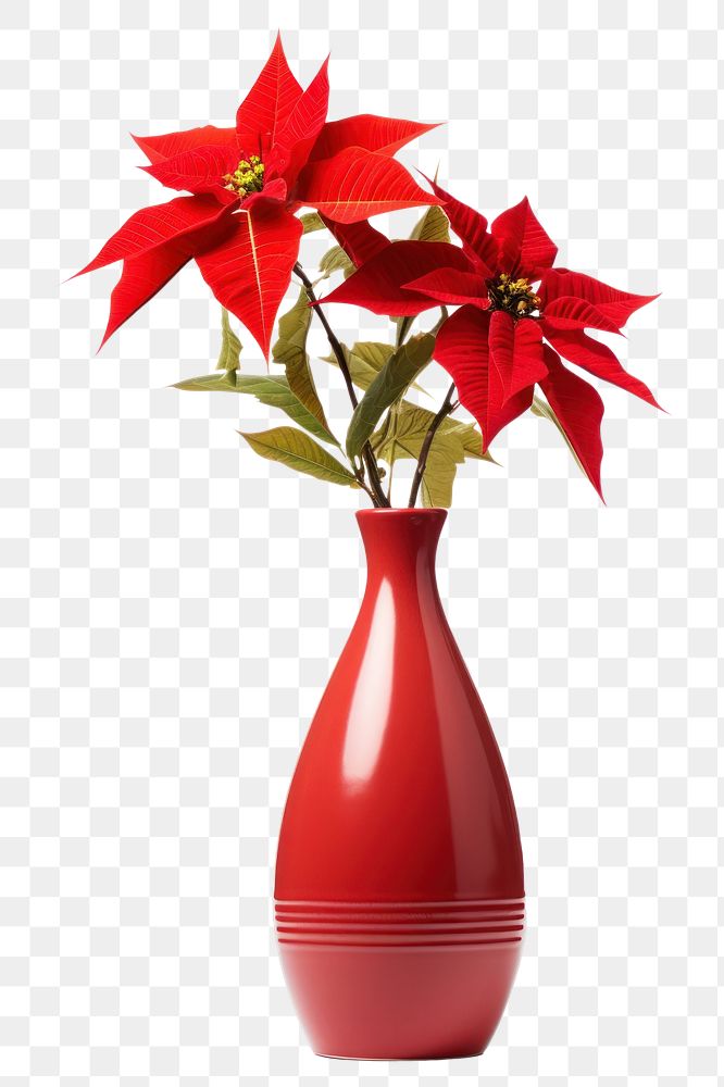 PNG Flower vase christmas plant. AI generated Image by rawpixel.