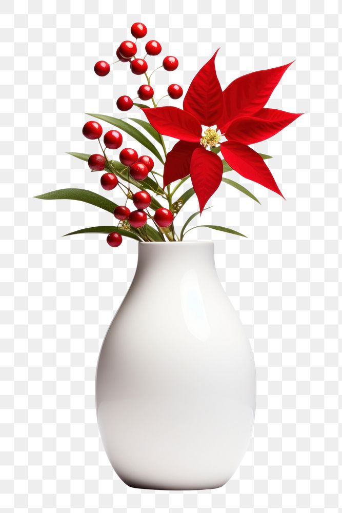 PNG Flower vase christmas plant. AI generated Image by rawpixel.
