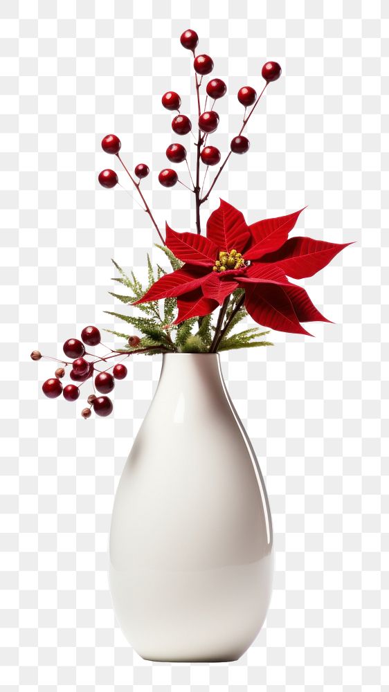 PNG Flower vase christmas plant. AI generated Image by rawpixel.