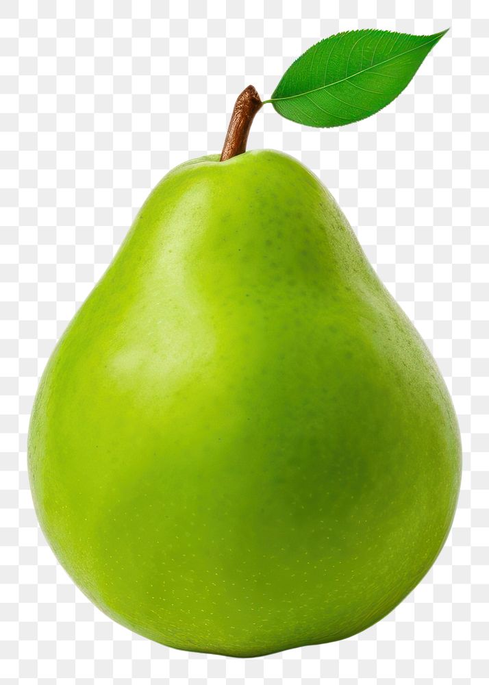 PNG Pear fruit green plant. 