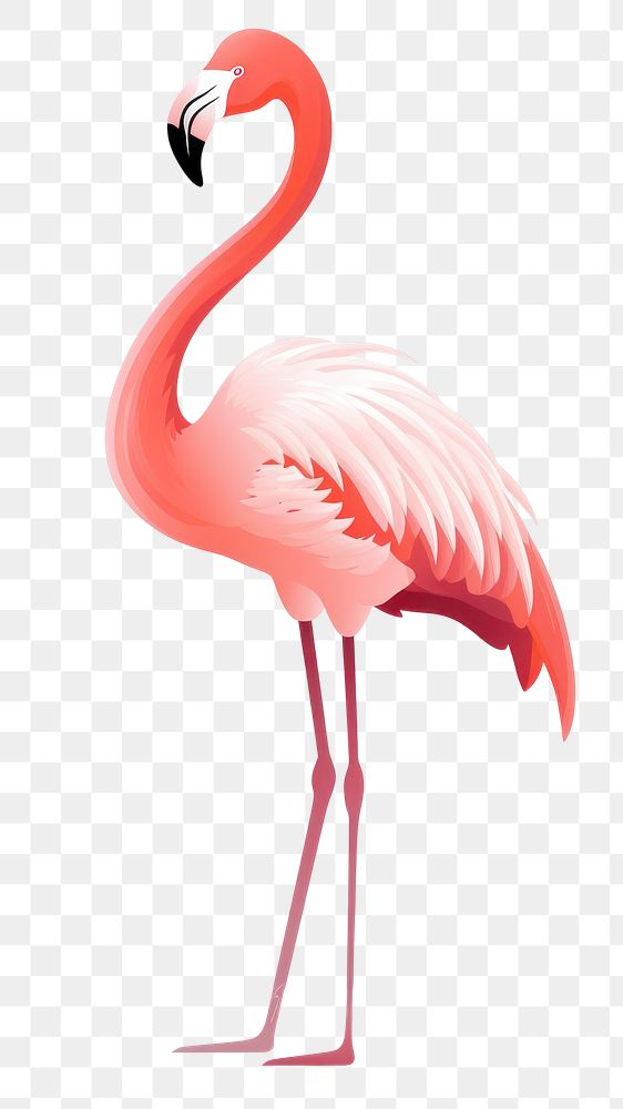 PNG Flamingo animal bird pink. AI generated Image by rawpixel.