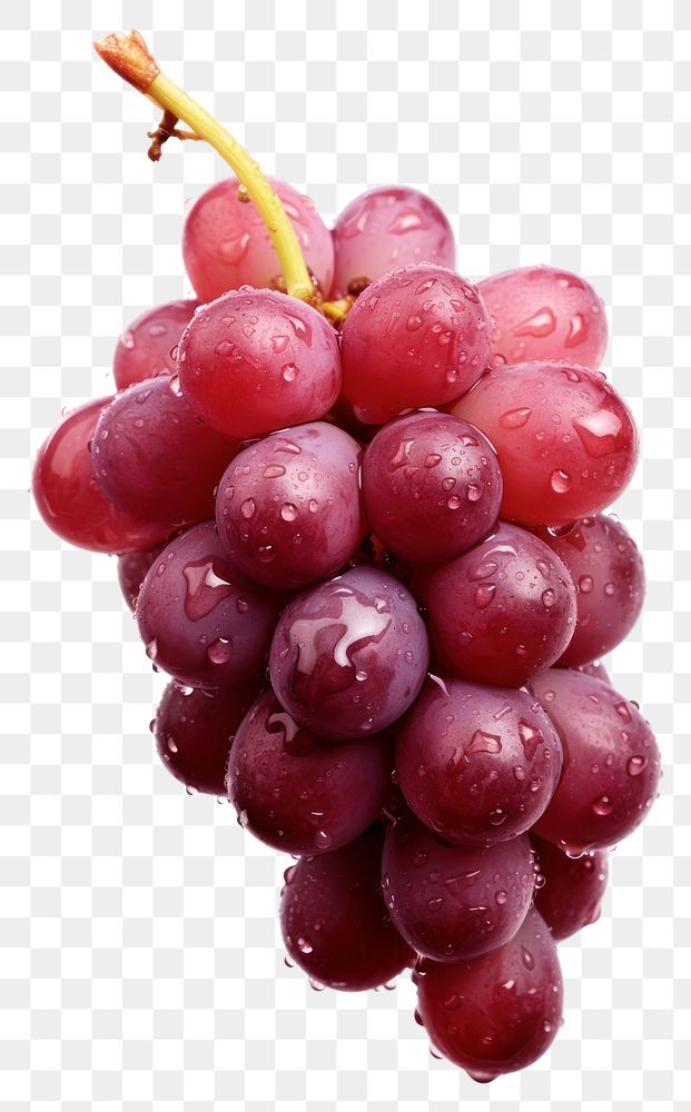 PNG Grapes fruit plant ripe. AI generated Image by rawpixel.