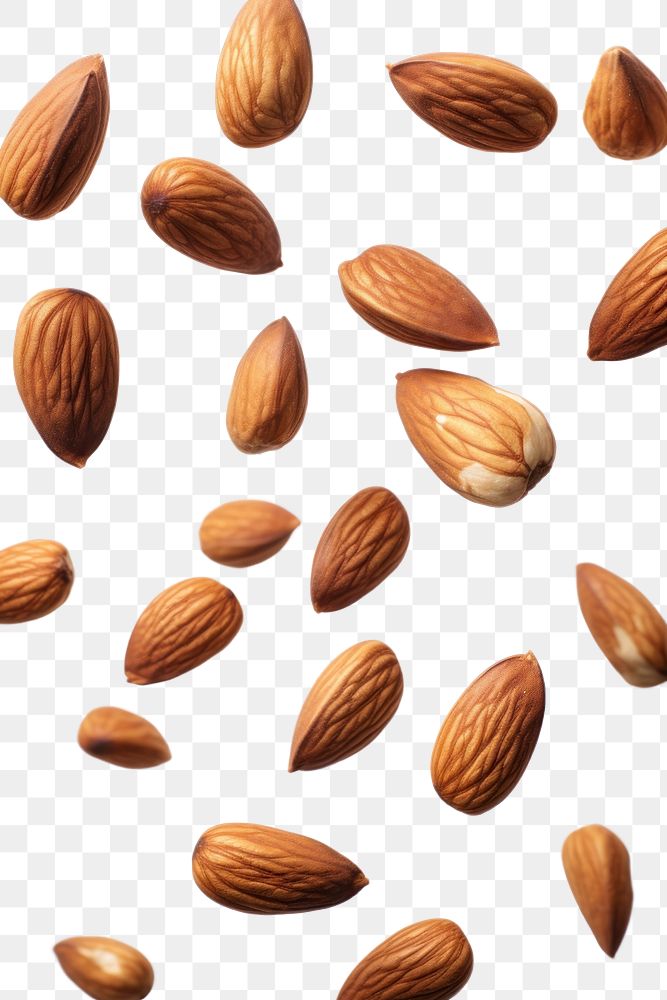 PNG Almond backgrounds food seed