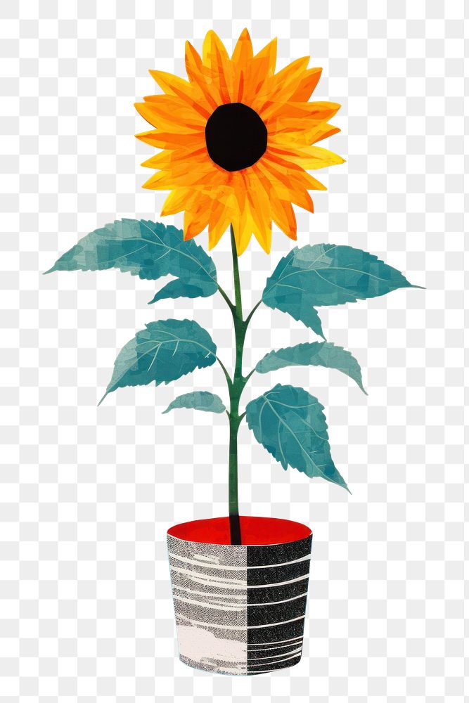 PNG Sunflower plant vase art. AI generated Image by rawpixel.