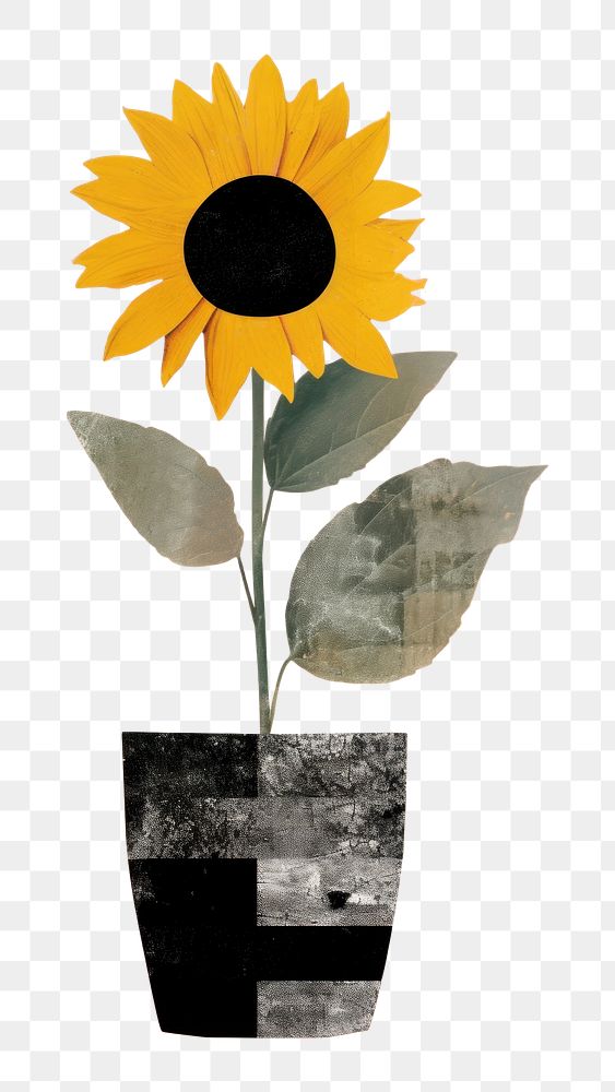 PNG Sunflower vase art plant. 