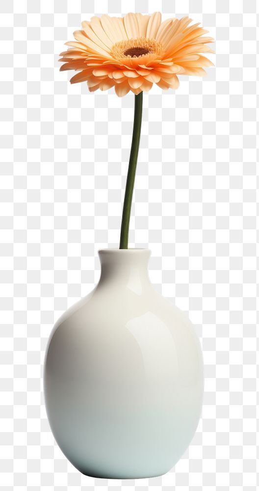 PNG Ceramic vase flower plant daisy. AI generated Image by rawpixel.
