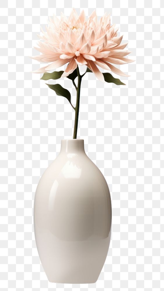 PNG Ceramic vase flower plant white. AI generated Image by rawpixel.