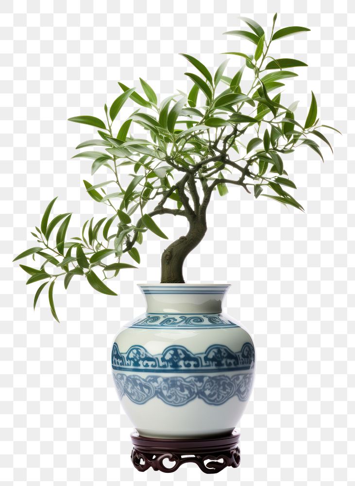 PNG Plant vase porcelain pottery. AI generated Image by rawpixel.