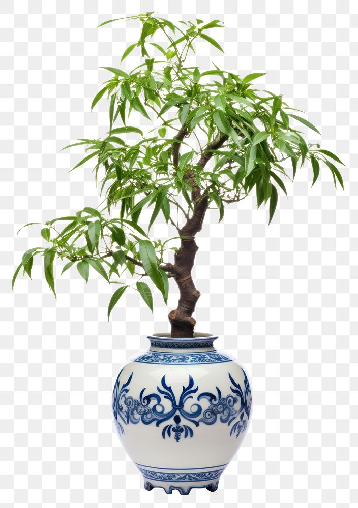 PNG Plant porcelain bonsai vase. AI generated Image by rawpixel.