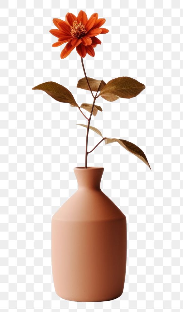 PNG Clay vase flower plant houseplant. AI generated Image by rawpixel.