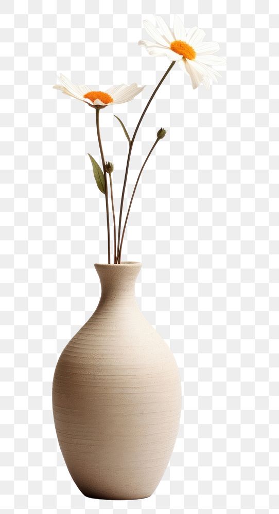 PNG Clay vase flower plant white. AI generated Image by rawpixel.