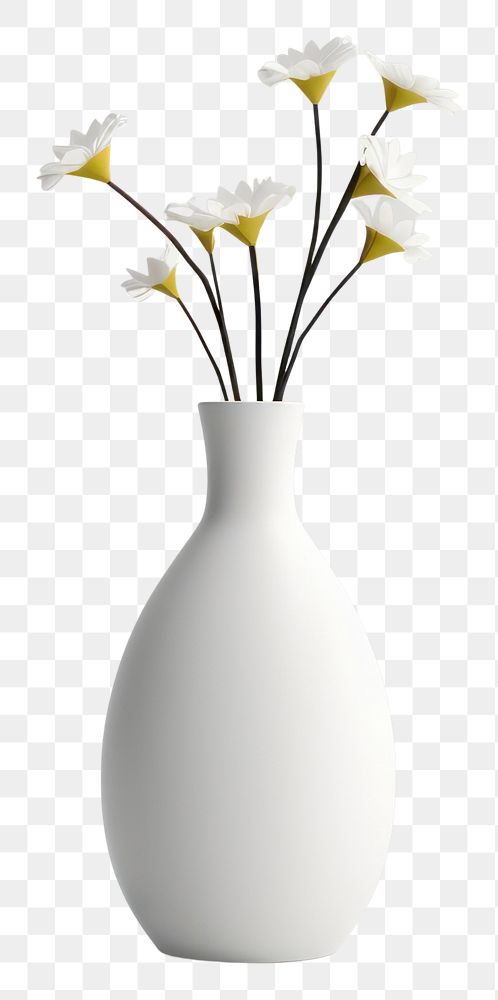 PNG Flower vase plant white simplicity. AI generated Image by rawpixel.