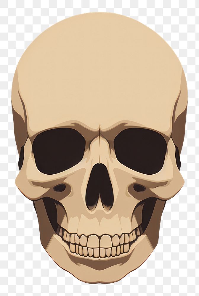 PNG Skull face anthropology portrait. AI generated Image by rawpixel.