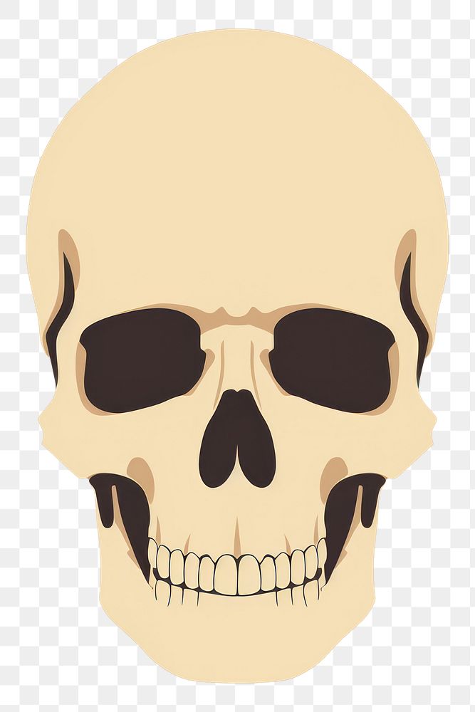 PNG Skull face anthropology sunglasses. AI generated Image by rawpixel.