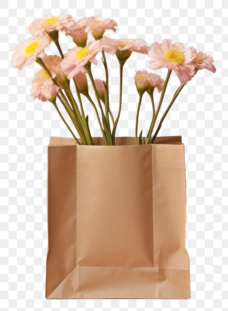 PNG Flower bag paper plant. AI generated Image by rawpixel.