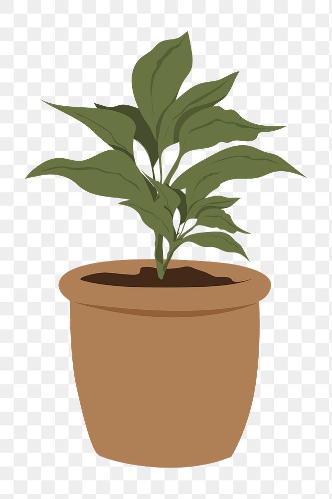 Potted plant png, aesthetic illustration, transparent background