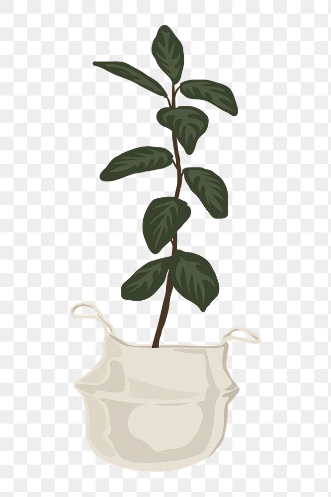 Potted plants png, aesthetic illustration, transparent background