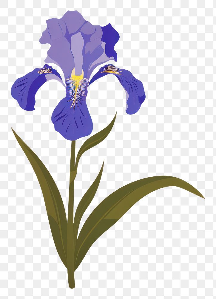 PNG Person holding iris flower plant inflorescence springtime. AI generated Image by rawpixel.