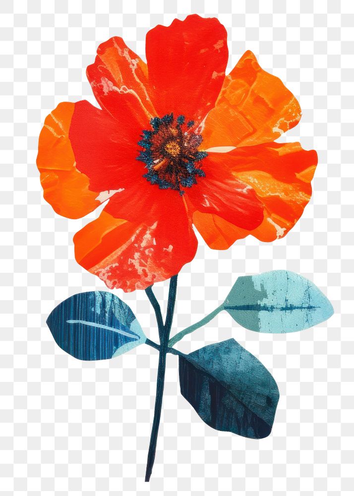 PNG Flower petal plant poppy. AI generated Image by rawpixel.