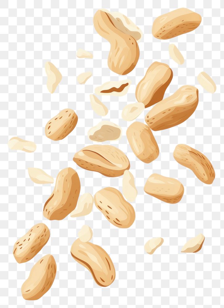 PNG Falling peanut seeds food white background freshness. 