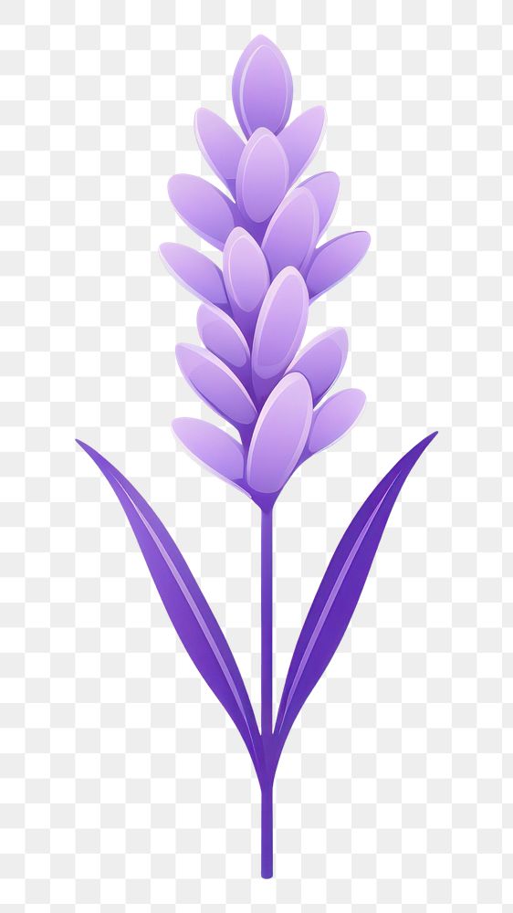 PNG A lavender flower plant white background. AI generated Image by rawpixel.