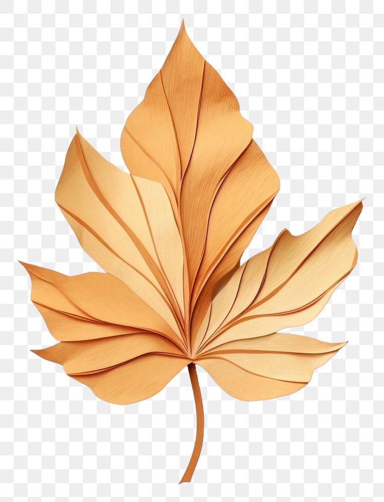 PNG A leaf plant paper tree. 