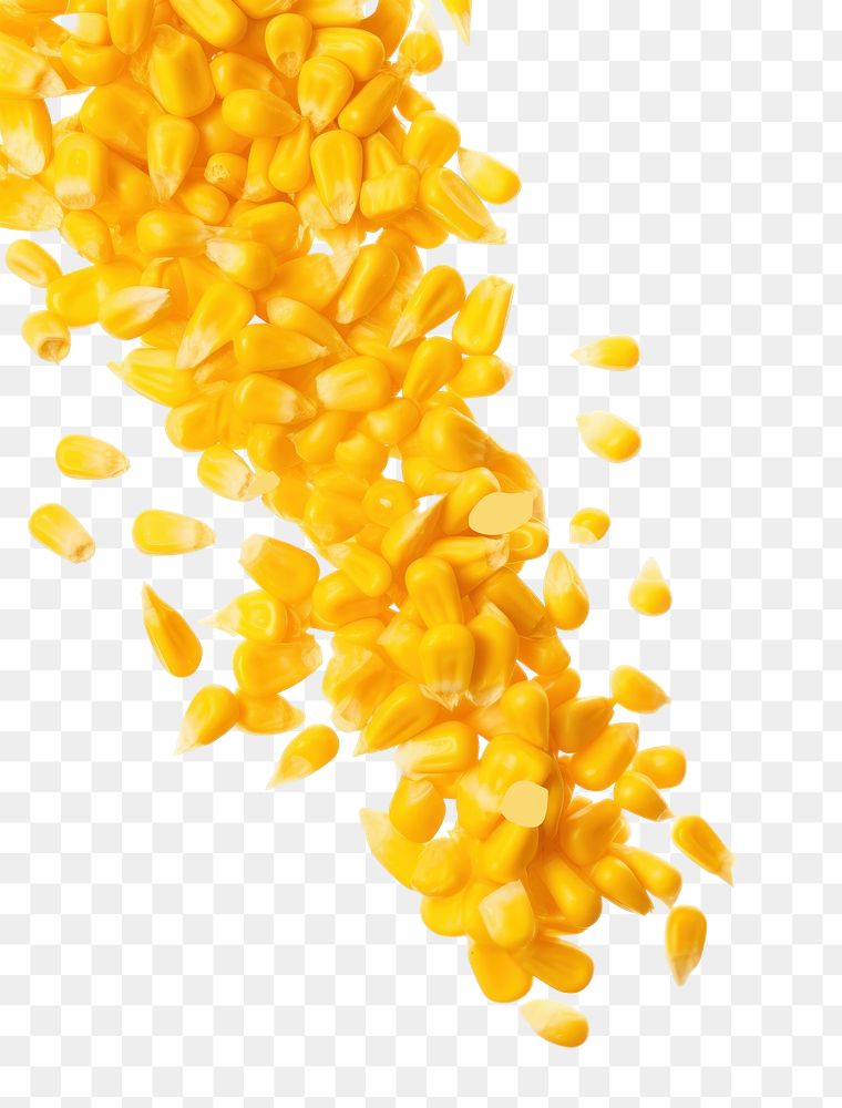 PNG Falling big corn seeds yellow plant food. AI generated Image by rawpixel.