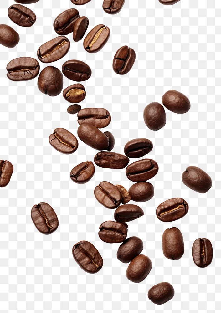 PNG Falling coffee beans backgrounds white background freshness