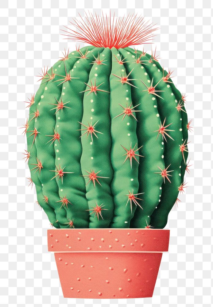 PNG Cactus plant art flowerpot. AI generated Image by rawpixel.