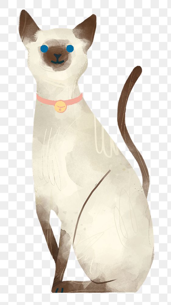 Siamese cat png cute animal sticker, transparent background
