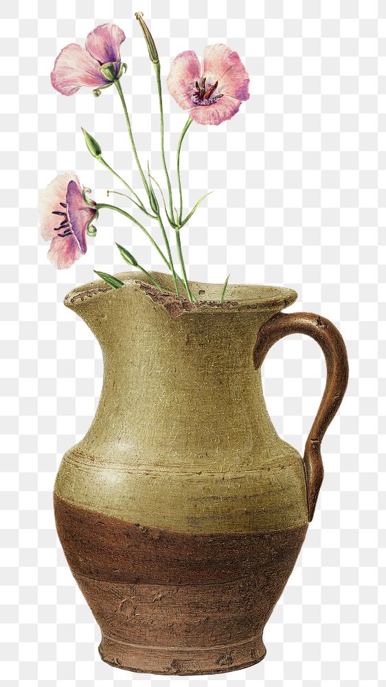 Flower in a jug png cut out on transparent background 