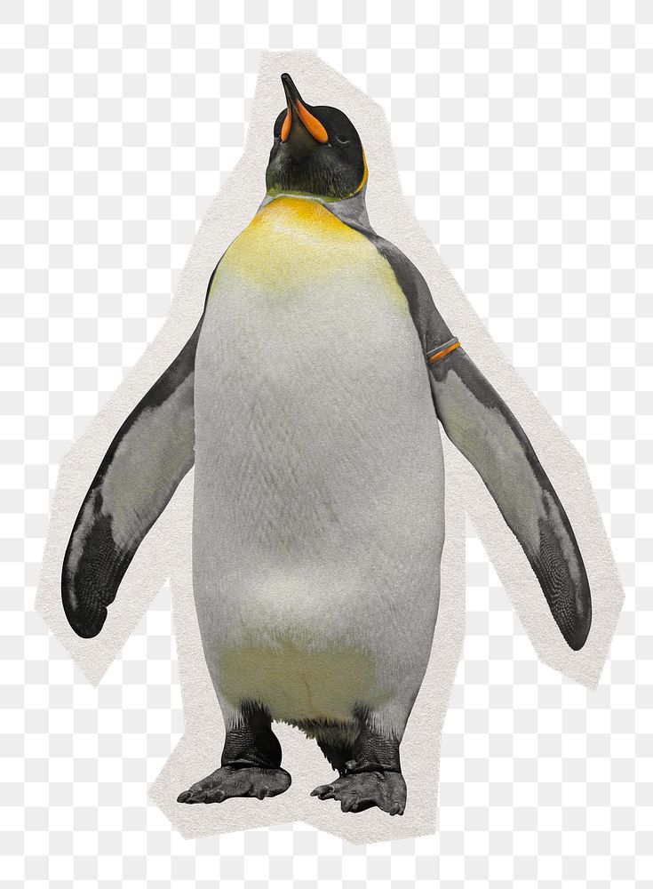 King penguin png sticker, paper cut on transparent background