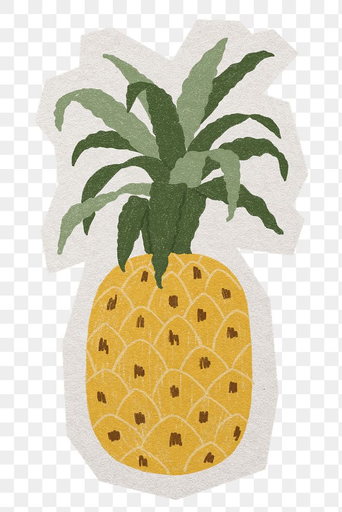 Hand drawn pineapple  png fruit sticker, paper cut on transparent background