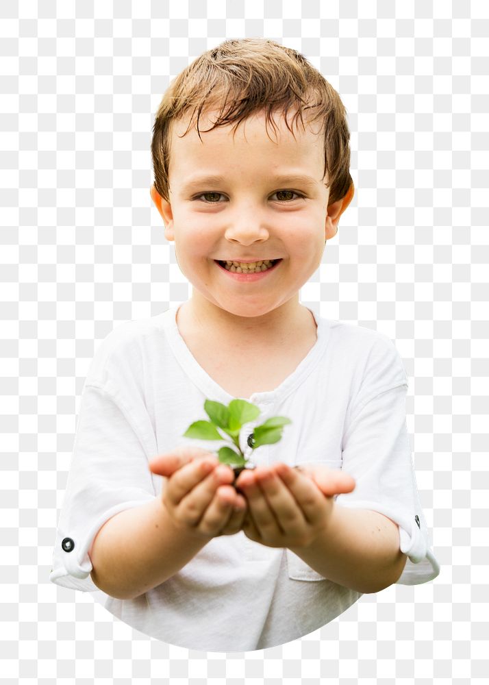 Boy cupping plant png, transparent background
