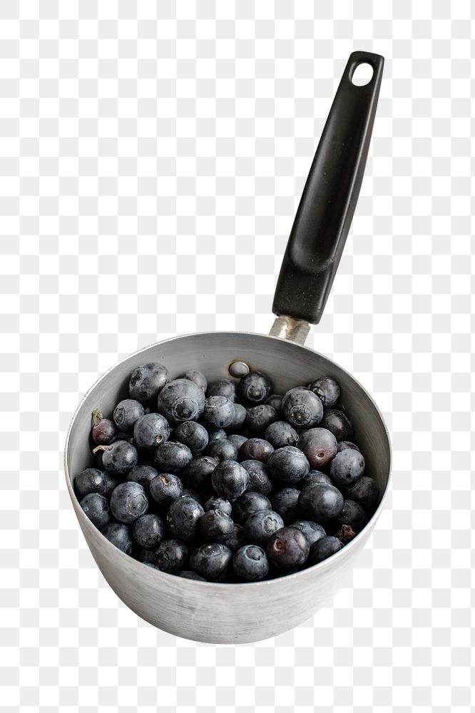 Blueberry in pot png sticker, transparent background